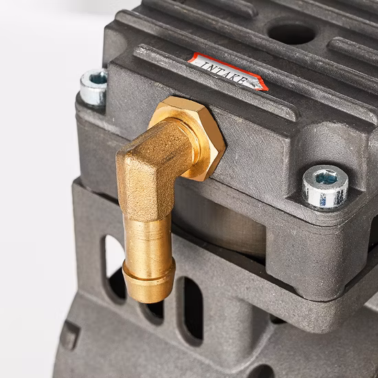 Compresseur de concentrateur d'oxygène, puissance AC 110V, 370W, pompe à tête de compresseur d'air sans huile à Piston silencieux pour concentrateur d'oxygène 5L